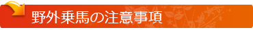 クレジット決済OK