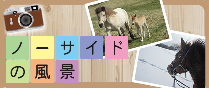 ノーサイドの風景