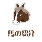 馬の紹介